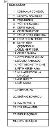 katılımcı öğrenci listesi